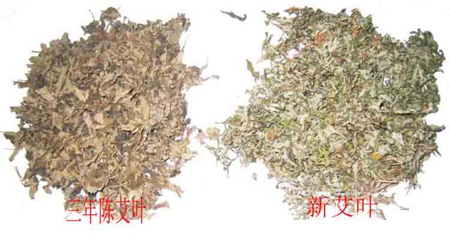 艾灸疗法,艾草泡脚,艾草艾叶